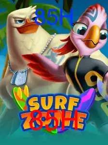 SurfZone